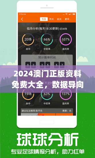 2024新澳门王中王正版|全面释义解释落实