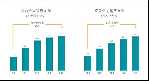 广东洋林实业有限公司，历史沿革、业务布局与未来展望