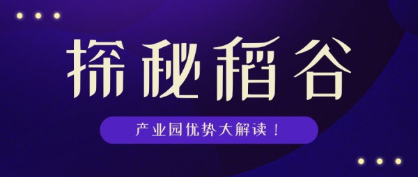 江苏欣瑞在线科技招聘，探索未来科技的无限可能