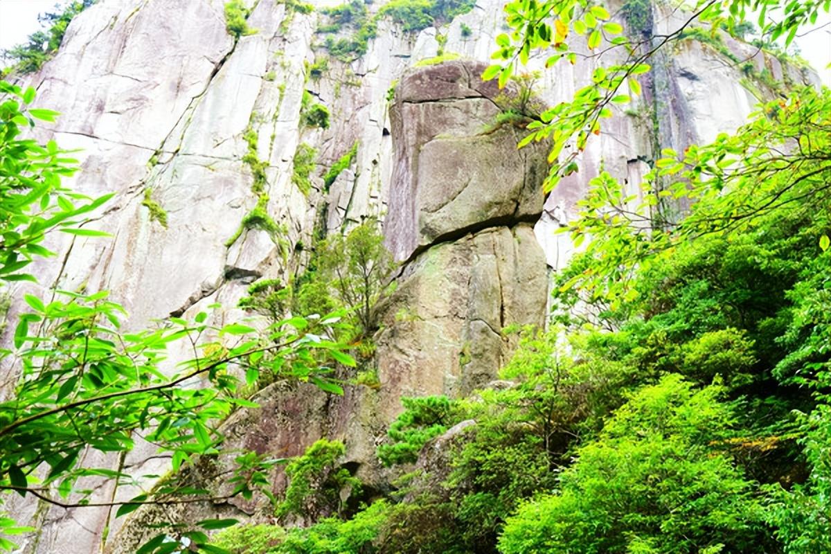 江苏峰越包装科技的卓越之路