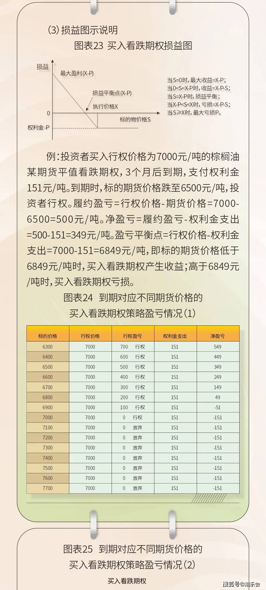 五个月的柯基，成长、特点与照顾指南