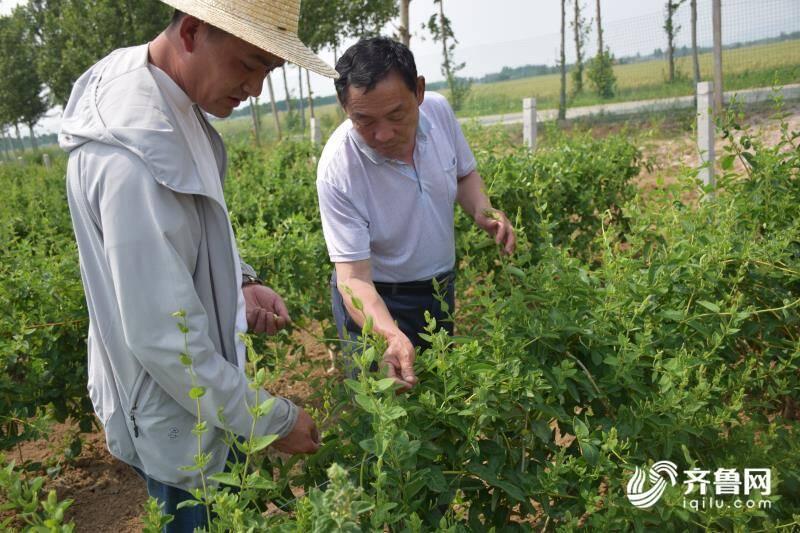 广东小满科技有限公司，创新科技，引领未来