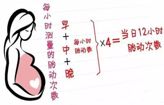 孕四个月胎动，初识胎儿的生命律动