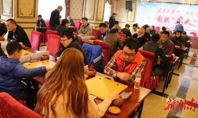 广东省围棋协会官网，探索围棋的枢纽与桥梁