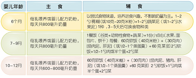 六个月宝宝营养需求与补充策略