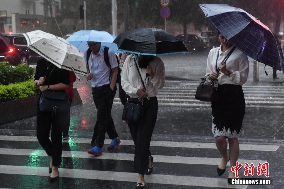 广东省降雨线，气候特点与影响分析