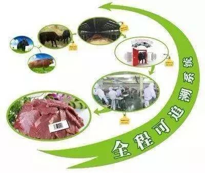 广东省特殊食品追溯，守护健康，从源头开始